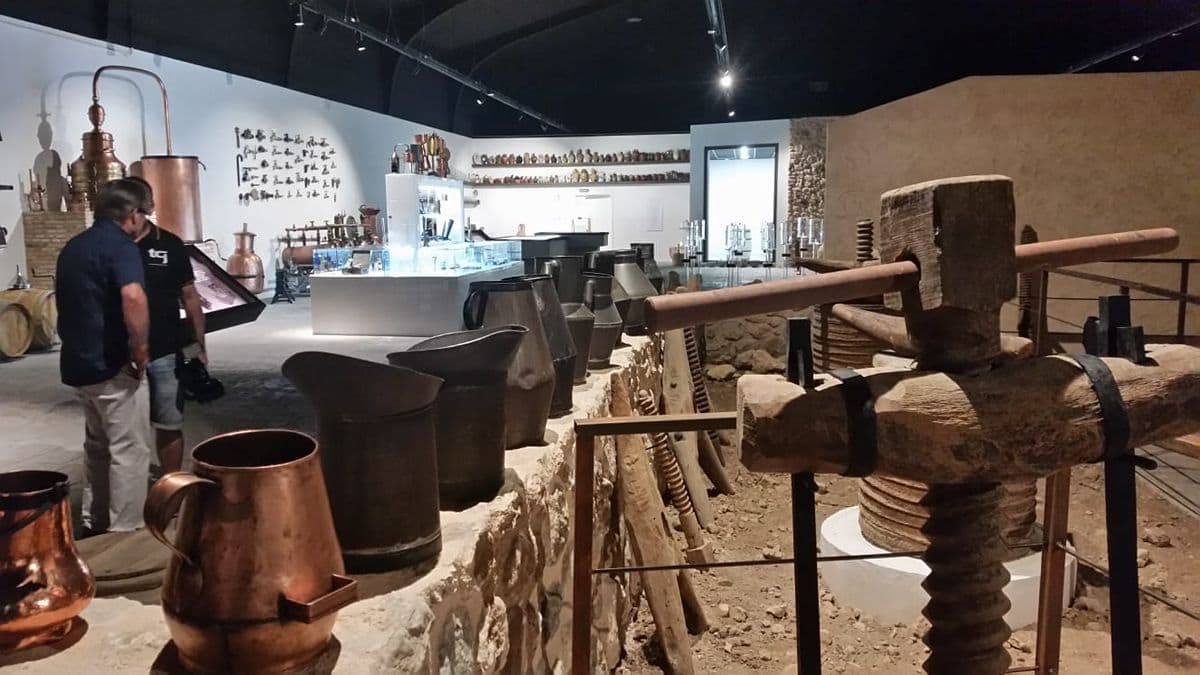 04 museo vino jumilla casa ermita carche musealizacion restauracion museo etnografico 2018 04 museo vino jumilla casa ermita carche musealizacion restauracion museo etnografico 2018
